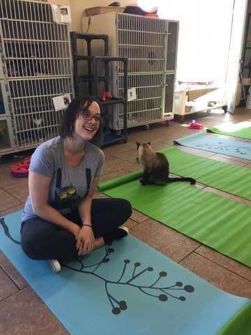 cat yoga emily